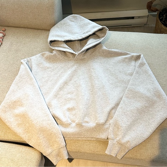 Aritzia Cozy Sweatfleece Perfect Crop Hoodie - Picture 4 of 6